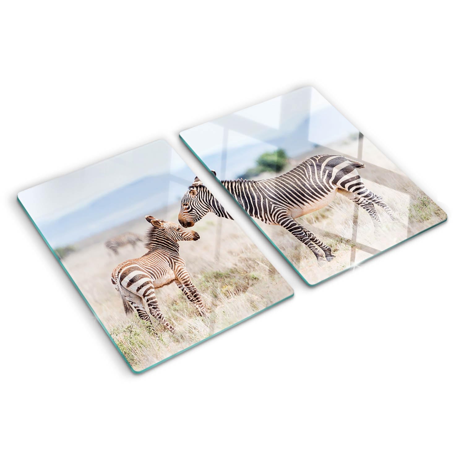 Planche à découper 2x40x52 cm en verre pour cuisine moderne zèbres