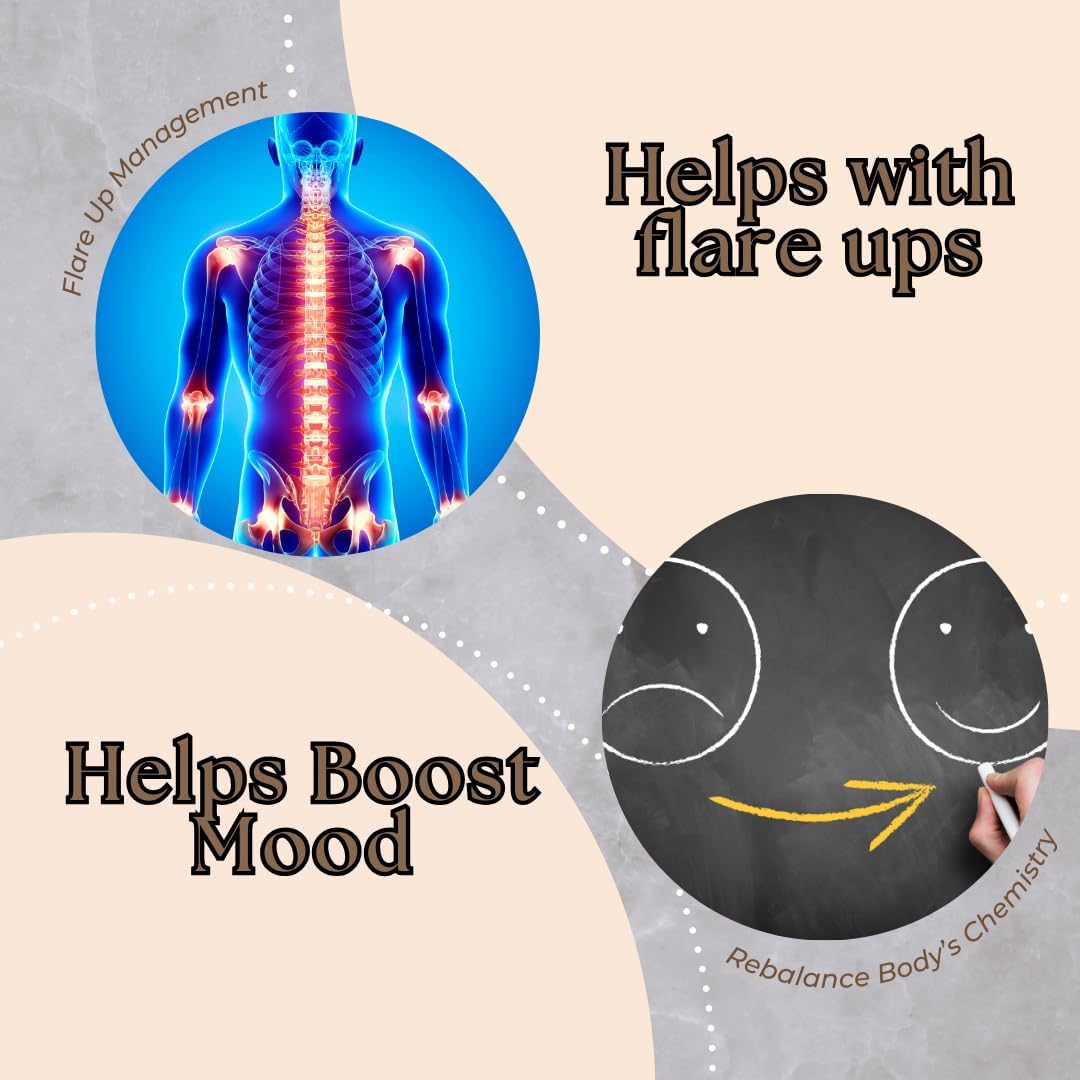 Research Labs 2 Pack Liposomal NMNH (NMN Supplement Alternative) 500mg Per Serving | 120 Capsules (Dihydronicotinamide Mononucleotide) NAD Supplement to Boost NAD+ Levels for Anti Aging - Image 4