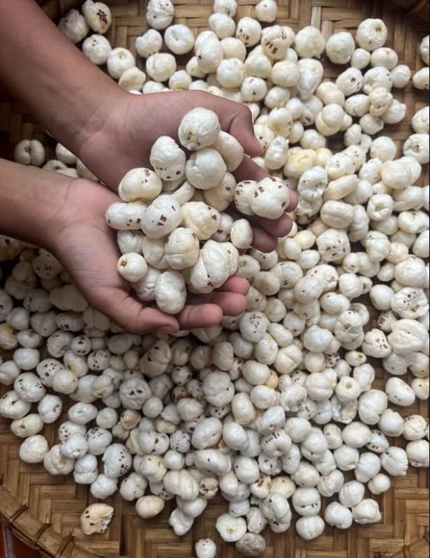 Image of THE NUT LUXURY Phool Makhana 100 gm | Handpicked Size High Protein Fox Nuts /Lotus Seeds | No added Preservatives & No artificial Flavours | High Protein & Fiber