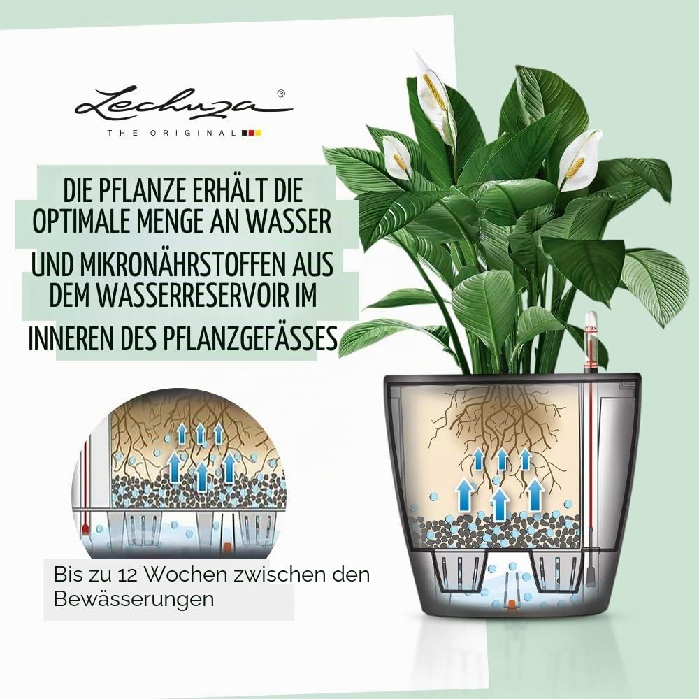 Lechuza Classico Premium 21 LS - Komplettset Weiß