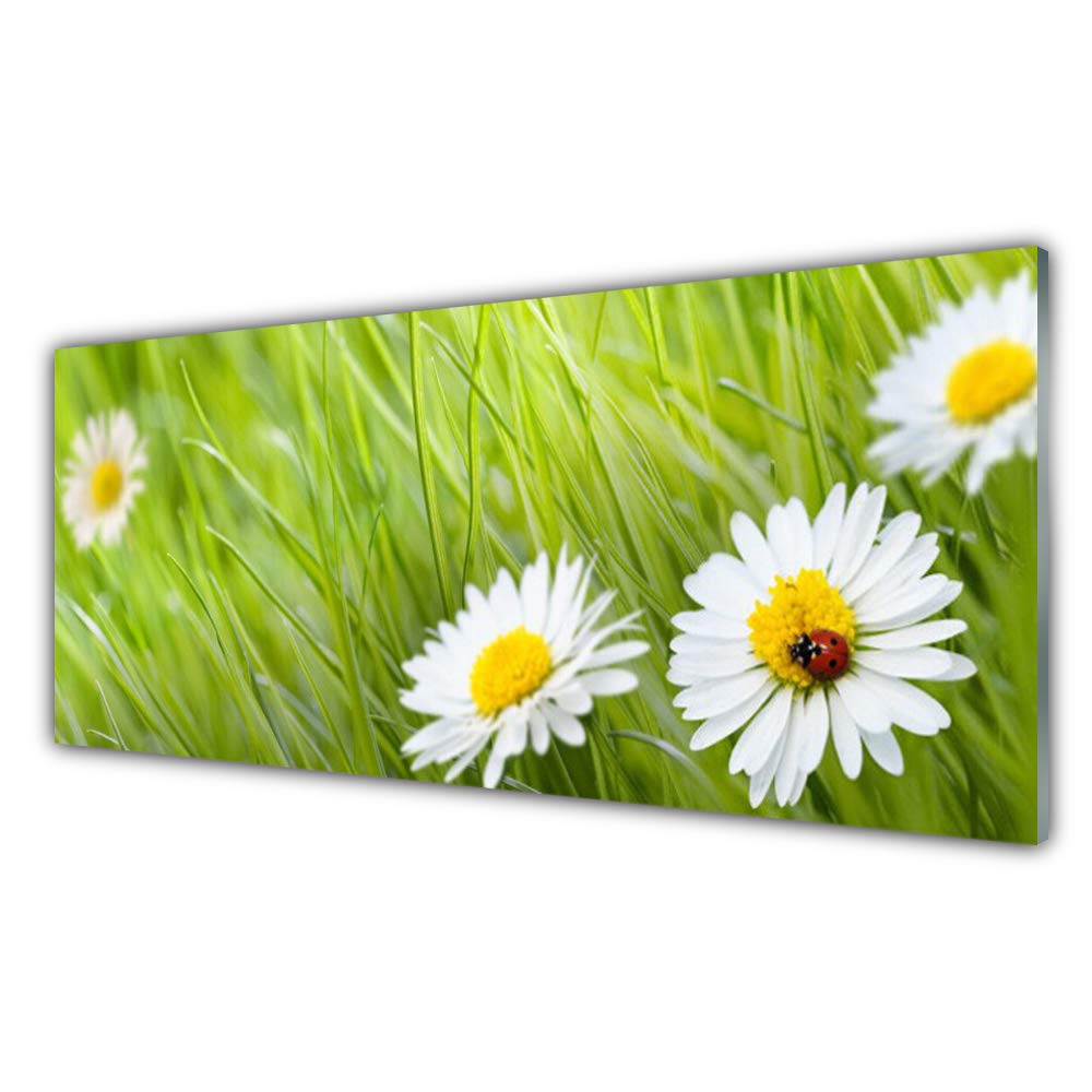 Tableau mural moderne herbe marguerites en verre trempé 125x50cm Tulup