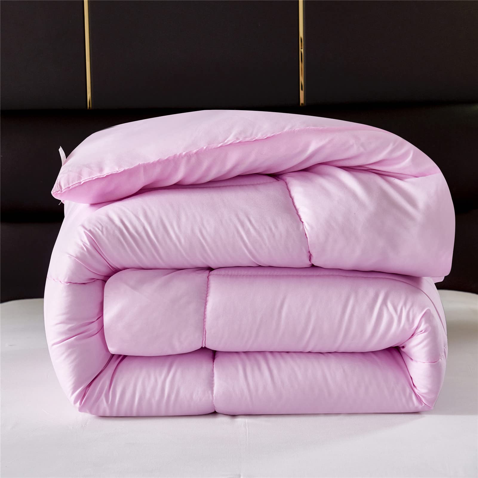 Couette 4 Saisons, Couette en Microfibre Edredon, Chaude Confort Légère Réversible Hypoallergénique Anti Acarien Couverture Hiver (Rose,150x200cm(1.5kg))