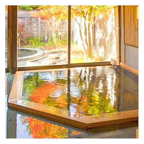 信州の秘湯 三水館 [細尾・三十坂]和室 平日ペア宿泊券 温泉旅館 鹿教湯温泉 ギフト プレゼント カップル ファミリー 誕生日