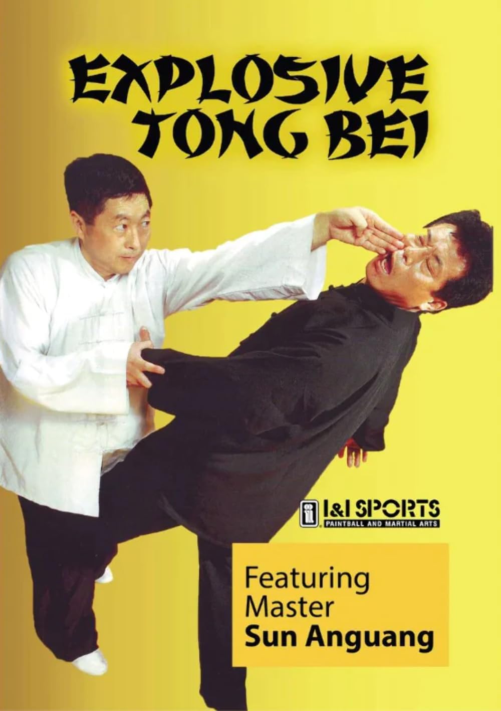 Explosive Tong Bei Kung Fu DVD Sun Anguang Northern Chinese Boxing Xue Ju Jin