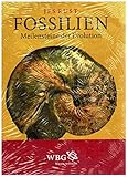  Fossilien: Meilensteine der Evolution