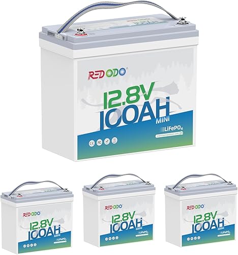 Redodo Batería de litio LiFePO4 de 12 V 100 Ah, la batería de litio mini más pequeña con BMS de 100 A mejorado, 4000+ ciclos profundos y 1280 Wh de