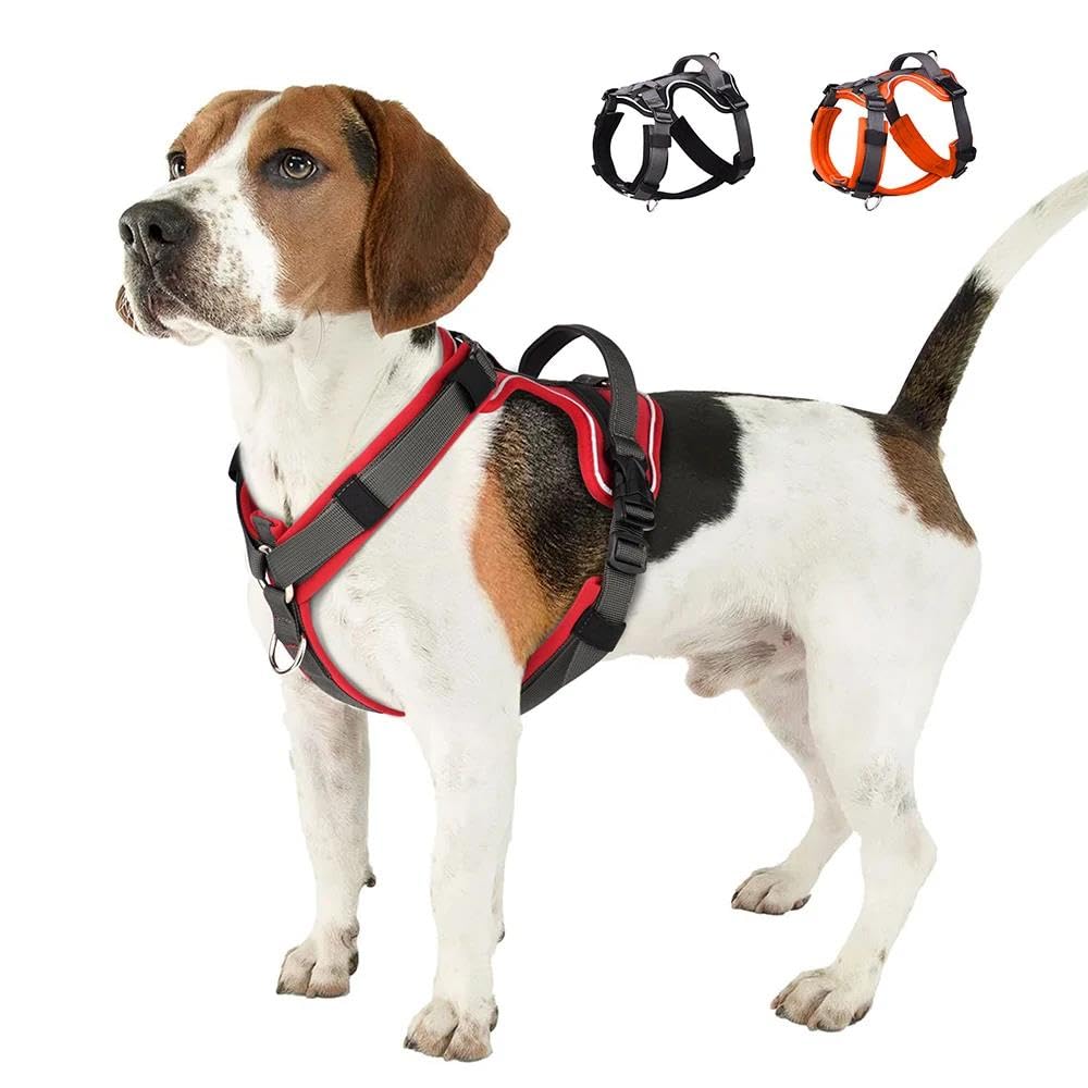 Imbracatura per Cani Riflettente per Esterni, per Passeggiate, addestramento, Campeggio, Caccia, Regolabile, Anti-tiro, con Maniglia di Controllo (Nero, L)