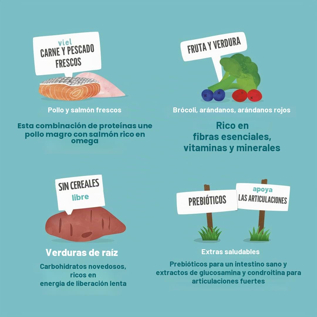 Edgard & Cooper - Comida Seca para Perros Senior (Pollo y salmón, 12 kg), Comida Seca sin Cereales sin azúcar, Ingredientes Naturales, Carne Fresca, Llena de aminoácidos