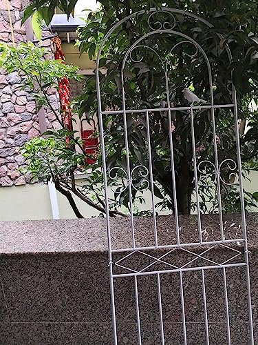 Gran soporte de pared inoxidable para solucionar la caída de rosales 2