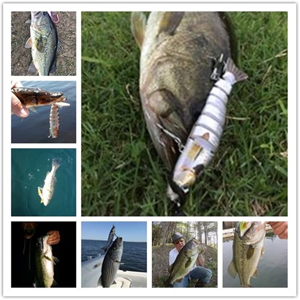 Amazon.co.jp: ALXFFBN ミノー釣りルアー硬質プラスチック 2