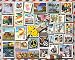 White Mountain Puzzles America Smiles Jigsaw Puzzle (1000 Piece)