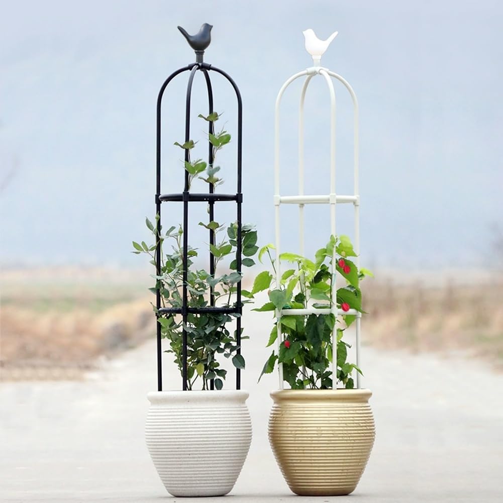 Garden obelisk, trellis for climbing plants outdoor, small trellis for potted plants, Tomato Cage White, Black obelisk Indoor high 25.6/33.5/45.3/57/65/68.9/80.7in(Black,D 14x H 65in)