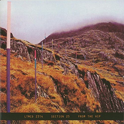 Play From The Hip by Section 25 on Amazon Music