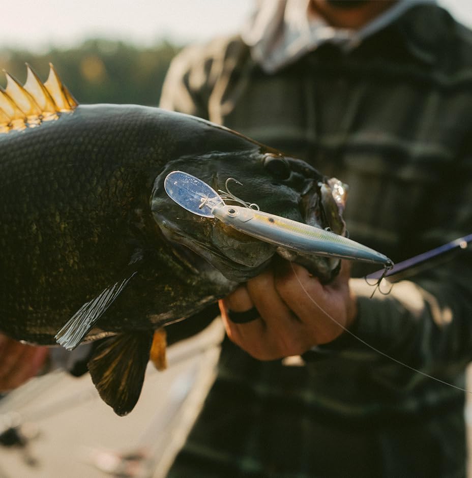 Deep Mavrik 110 Jerkbait Rapala pour vos sessions de pêche matinales en lac