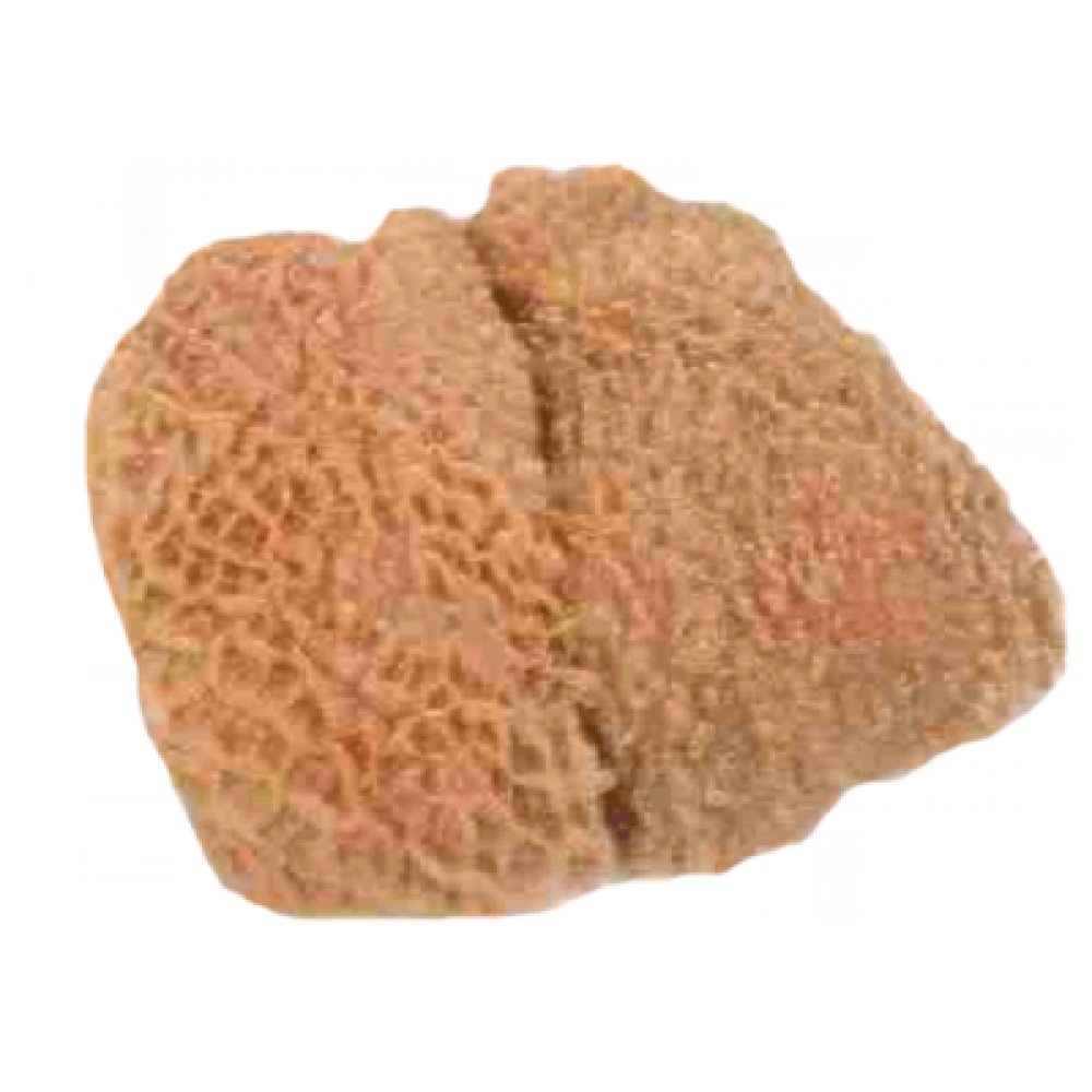 MeinMetzger Pansen vom Rind, schlachtfrisch, gut gereinigt, 2 Kilo