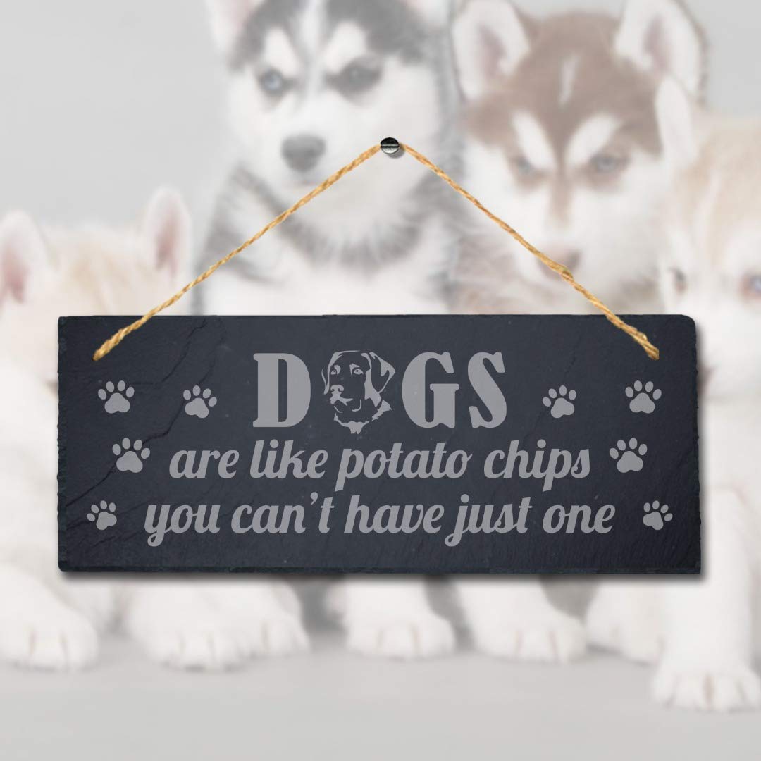 Stukk Crazy Laugh Poop Laser Kitten Puppy Pup Home Pet Sign (Dogs are Like Potato Chips), Natural Engraved Slate Stone Plaque - Image 2