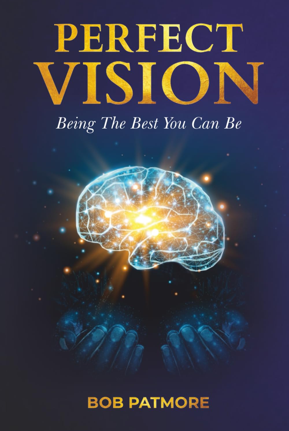 Perfect Vision: Being The Best You Can Be (Perfect Vision Method)