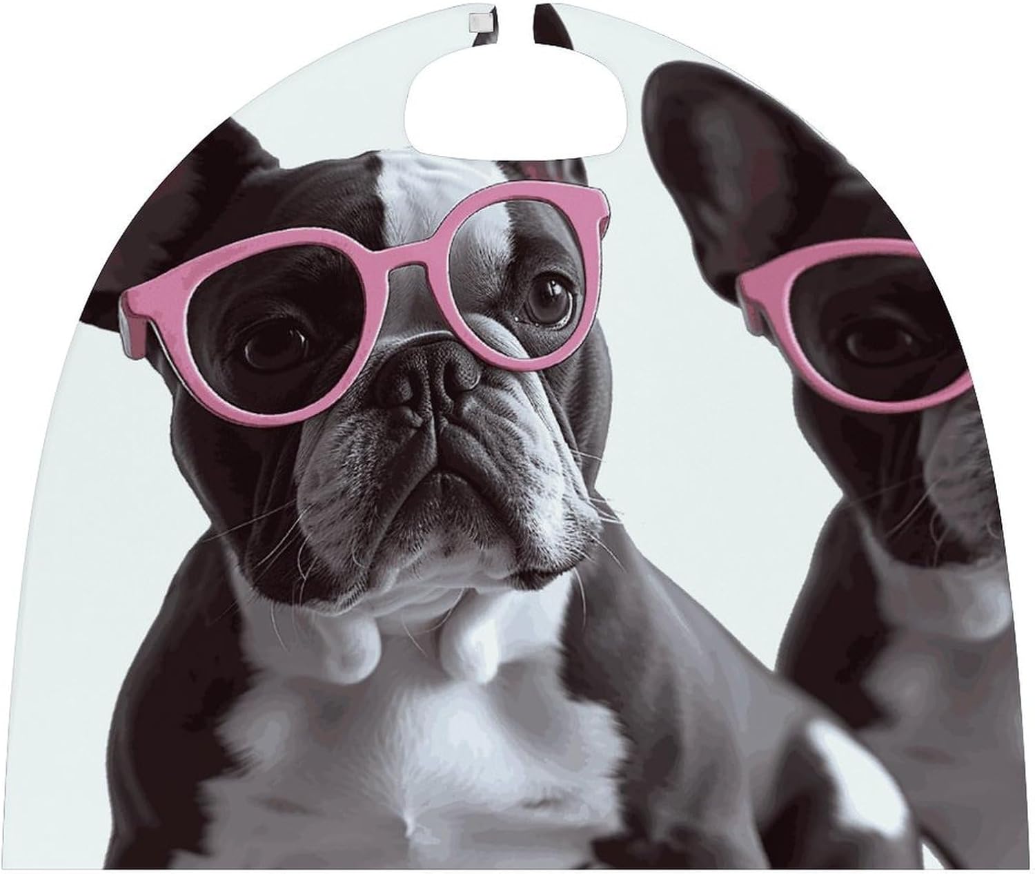 Renaissance Cape Halloween Costume for Men Women French Bulldog Pink Glasses Vintage Capelet for Cosplay Parties French Bulldog Pink Glasses