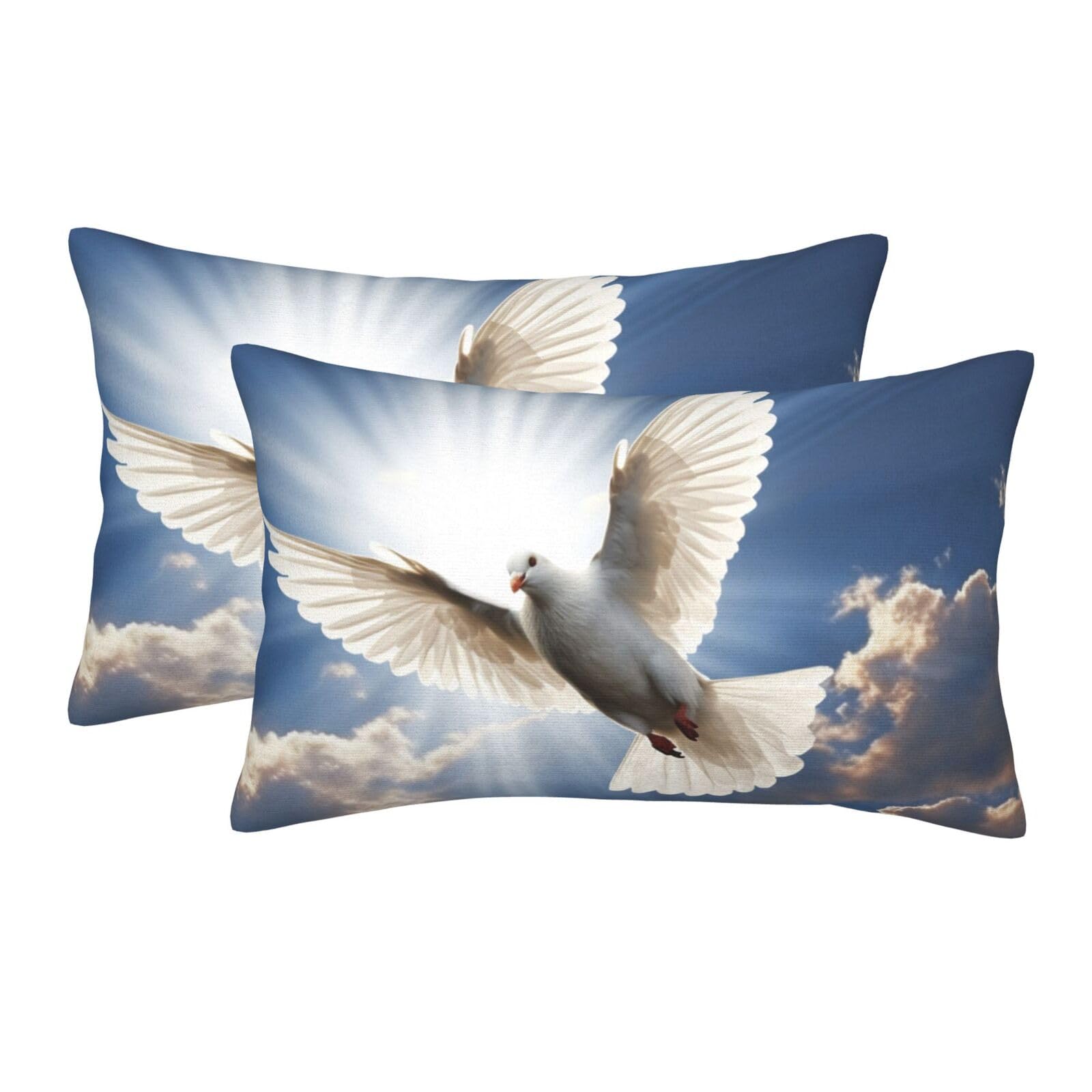 2 Pack Pillow Cases with Hidden Zipper, Soft Breathable Pillow Covers for Hair and Skin, Dove Sky Pillowcases 20"x30" Bed Pillow Protectors Cover for Sleeping Gifts