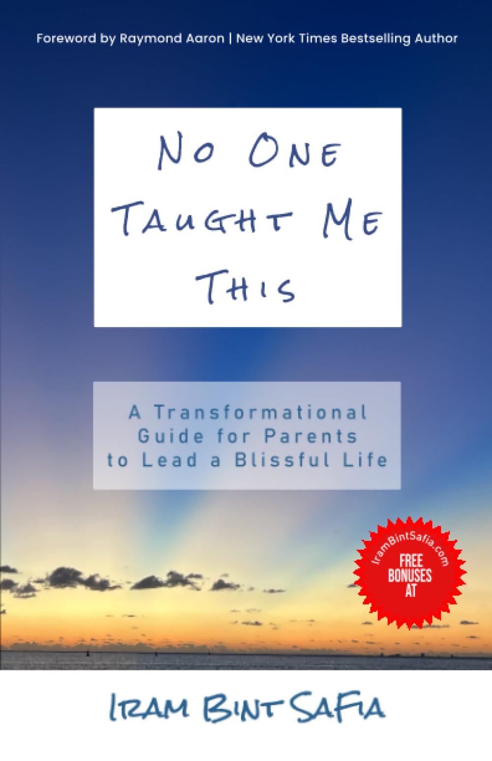 NO ONE TAUGHT ME THIS: A Transformational Guide for Parents to Lead a Blissful Life