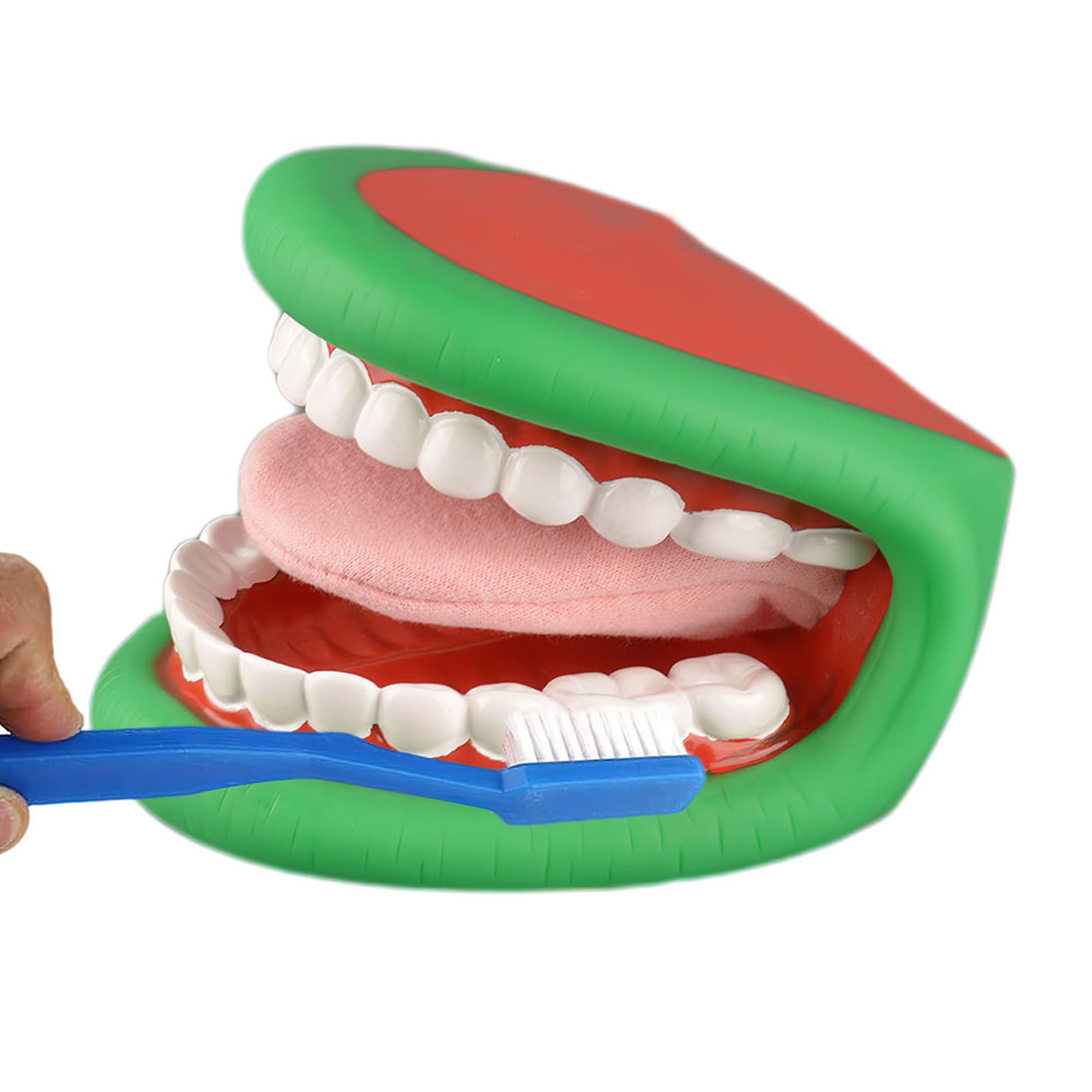 Handpuppen-Modell für Kinder-Sprachtraining - grüne Handpuppe mit Mund und Zunge - für Sprachtherapie, inklusive Zahnbürste