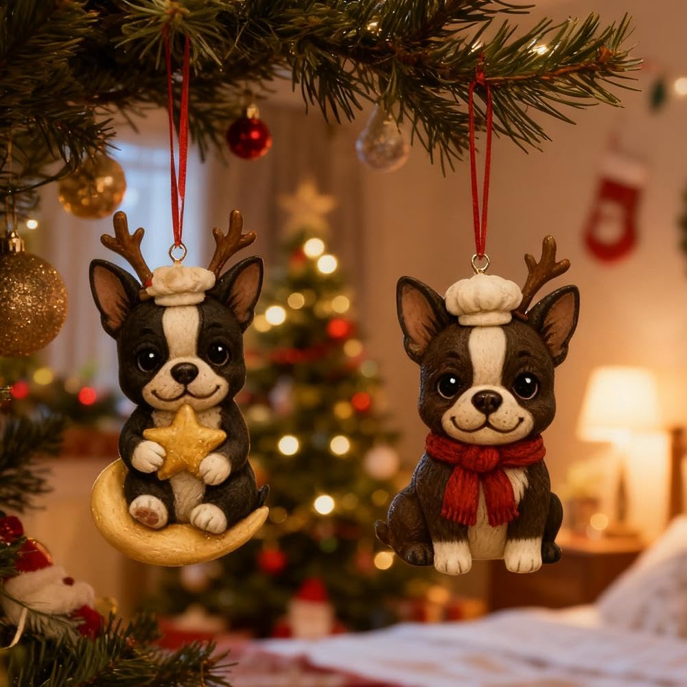 Calendario De Adviento Colgante De Búho 2D Para Navidad 2025 – 24 Figuras De Búhos Para Decorar El Árbol – Hecho De Acrílico Resistente – Cuenta Regresiva Navideña Creativa