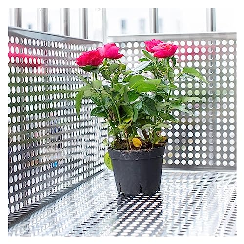 Sécurité du balcon sans travaux : tôle métallique perforée facile à poser
