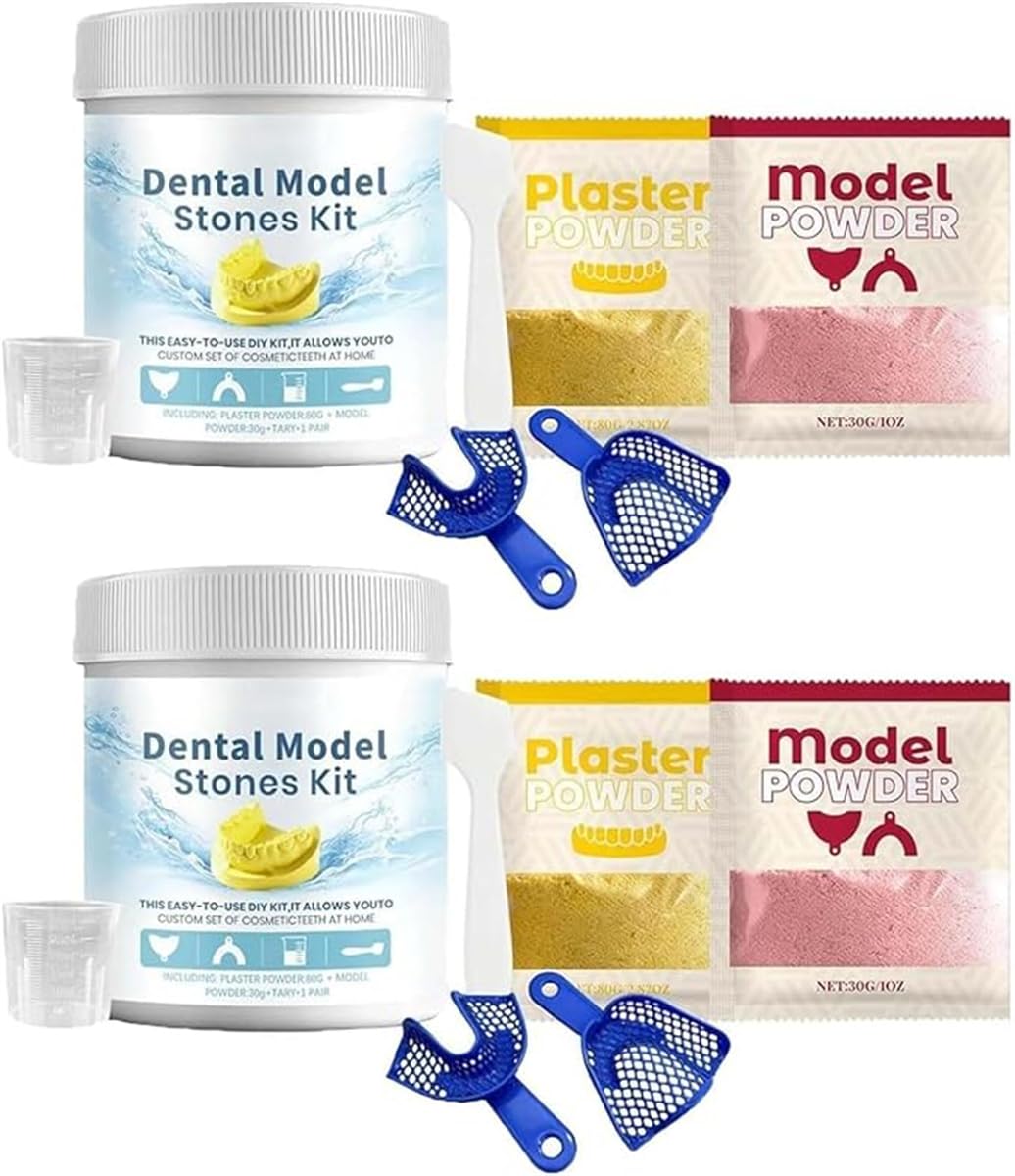 Fournitures d'artisanat en forme de dents avec gypse pour démonstration pédagogique