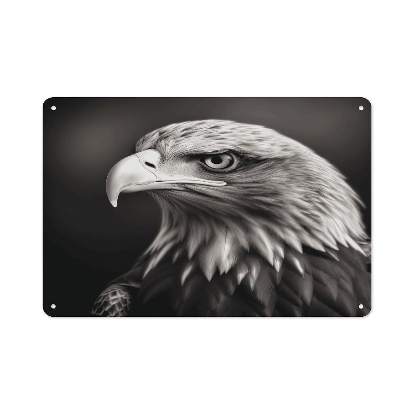 VstaDank Metal Aluminum Eagle Black And White Sign Wall Decor Vintage Metal Sign Plaque Boho Wall Hanging Decor Sublimation Picture Panel Personalized Plaque Poster 8x12in