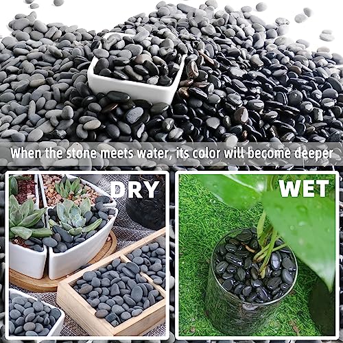 Image of 18lb Small Smooth River Rocks Pebbles for Plants & Succulents, Decorative Outdoor Landscaping Garden Rocks, Natural Mexican Beach Pebbles, Gravel for Aquarium, Fish Tanks, Vase and Yard Decor