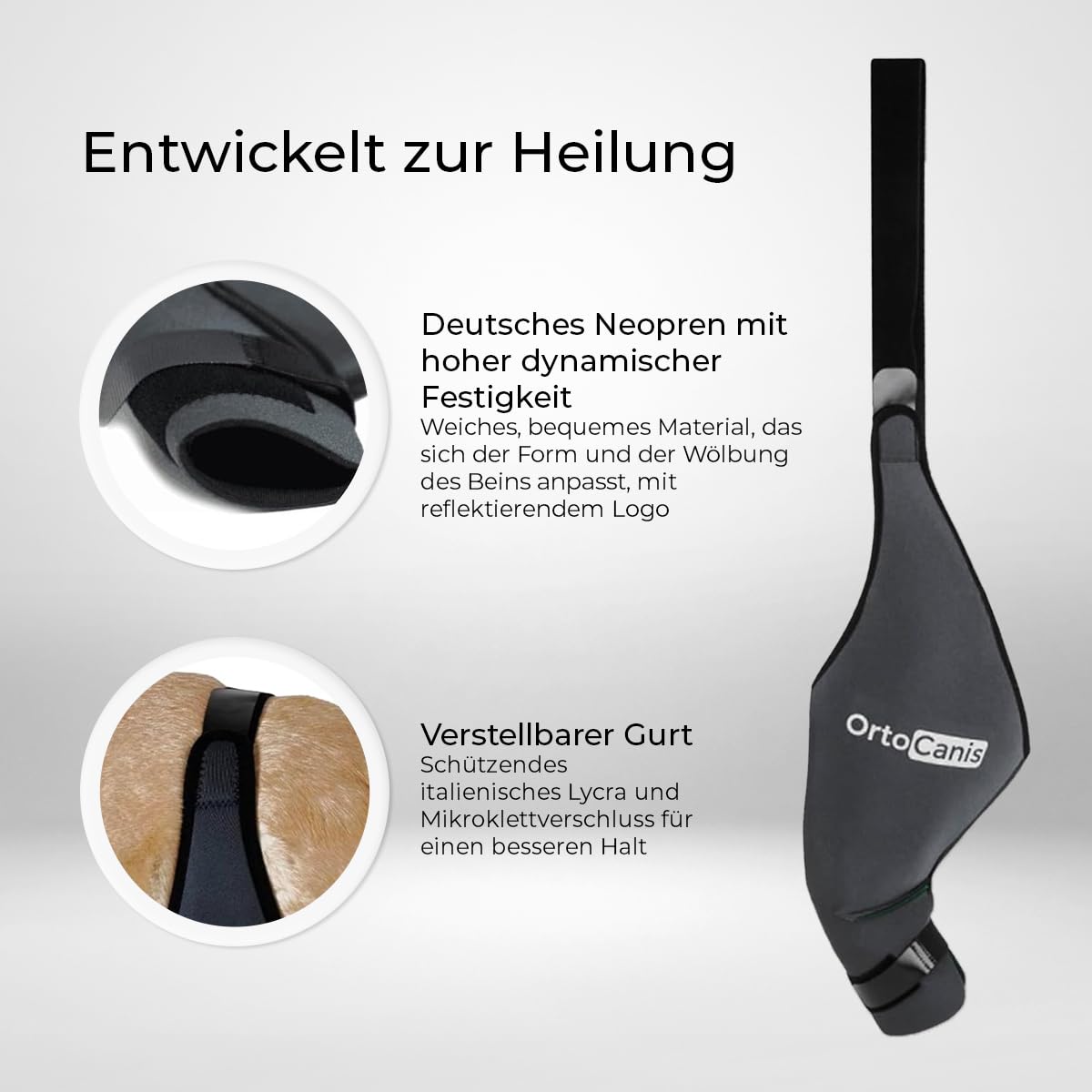 Ortocanis - Kniebandage Hund Hinterbein für das Linke Bein - Hergestellt aus Neopren ARD - Bei Kreuzbandriss, Bänderverletzungen, Patellaluxation oder Osteoarthritis - Größe Medium (11,5-12,2")
