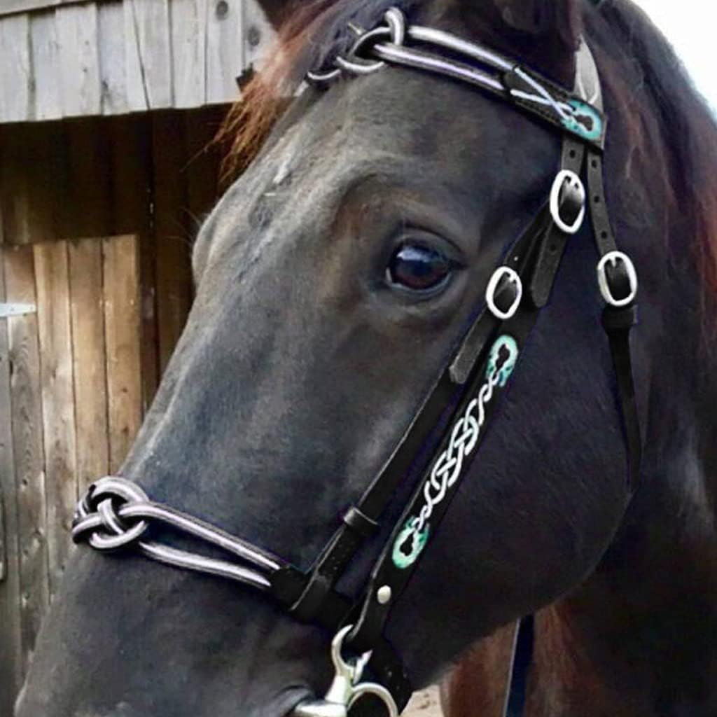 Metal Leather Horse Head Collar, Soft Comfortable Horse Reins with Adjustable Strap for Training and Riding Draft Horses, Practical Equestrian Accessories,Black : Sports & Outdoors