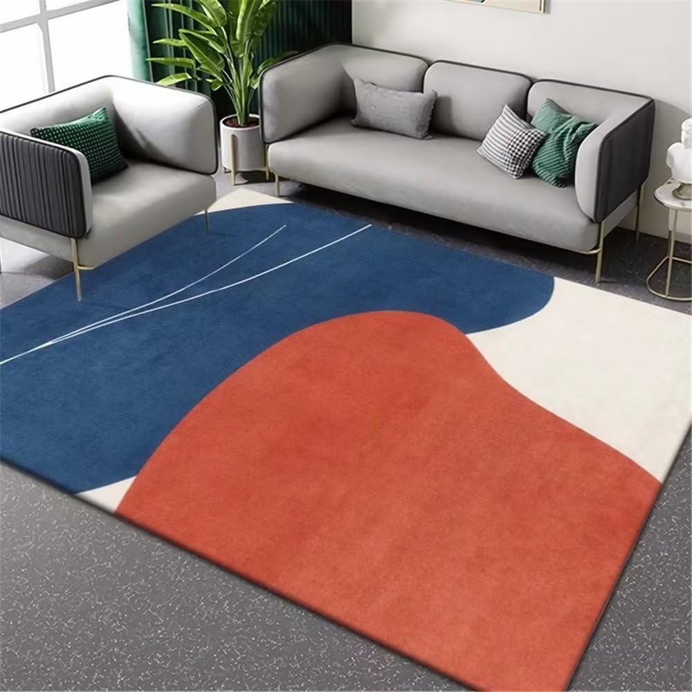 Tapis lavable en machine pour salon et chambre d'ado 80x120cm