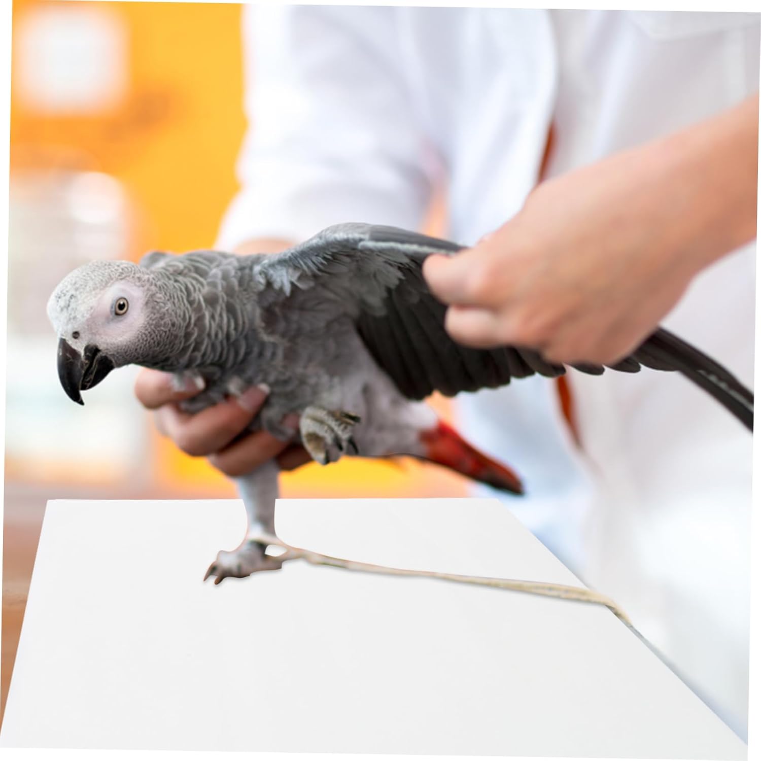 Kisangel 100Pcs Disposable Bird Cage Paper Liners and for Parrot Budgie and Pet Cages Simplify Cleaning and Promote Environment
