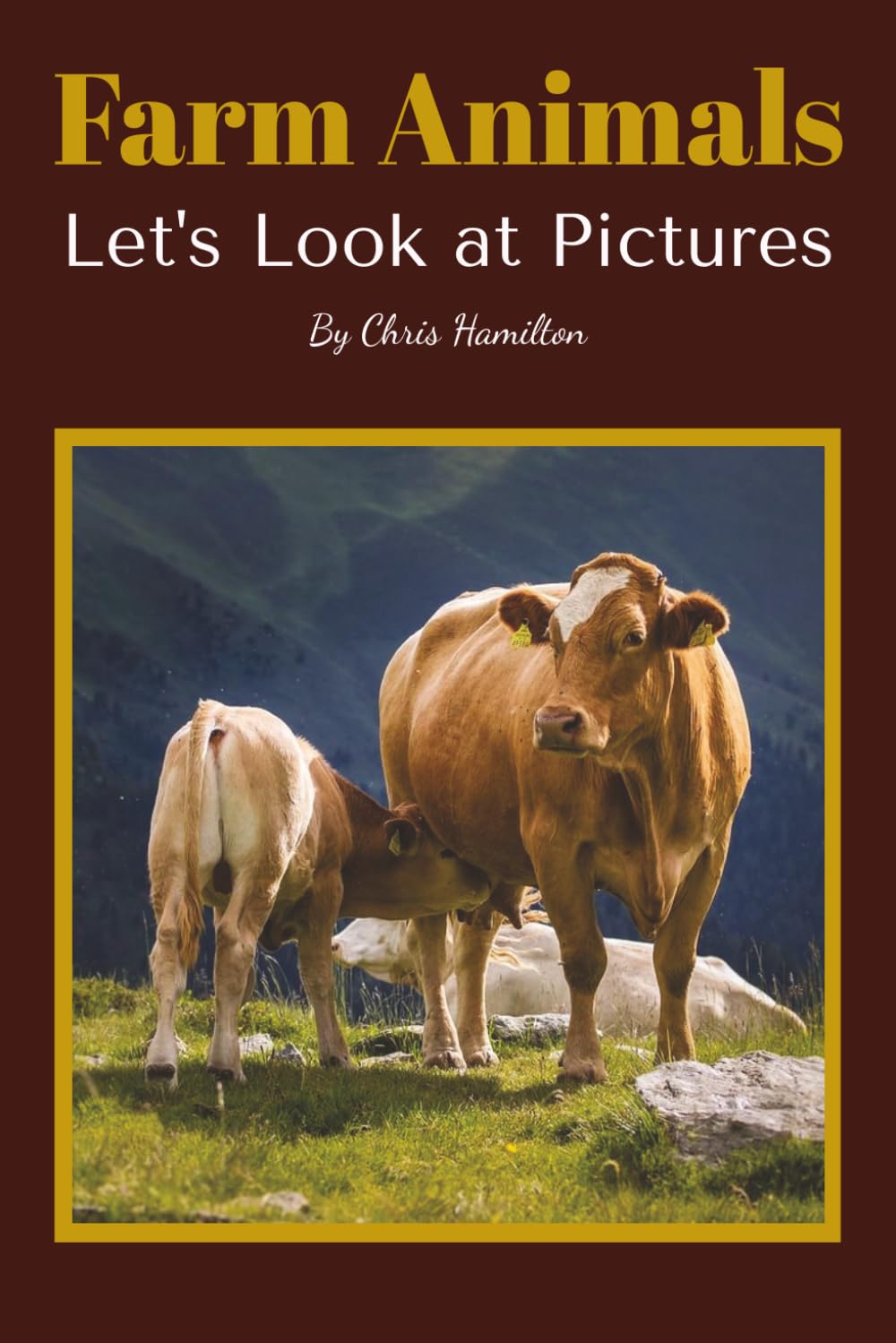 Farm Animals: Let's Look at Pictures