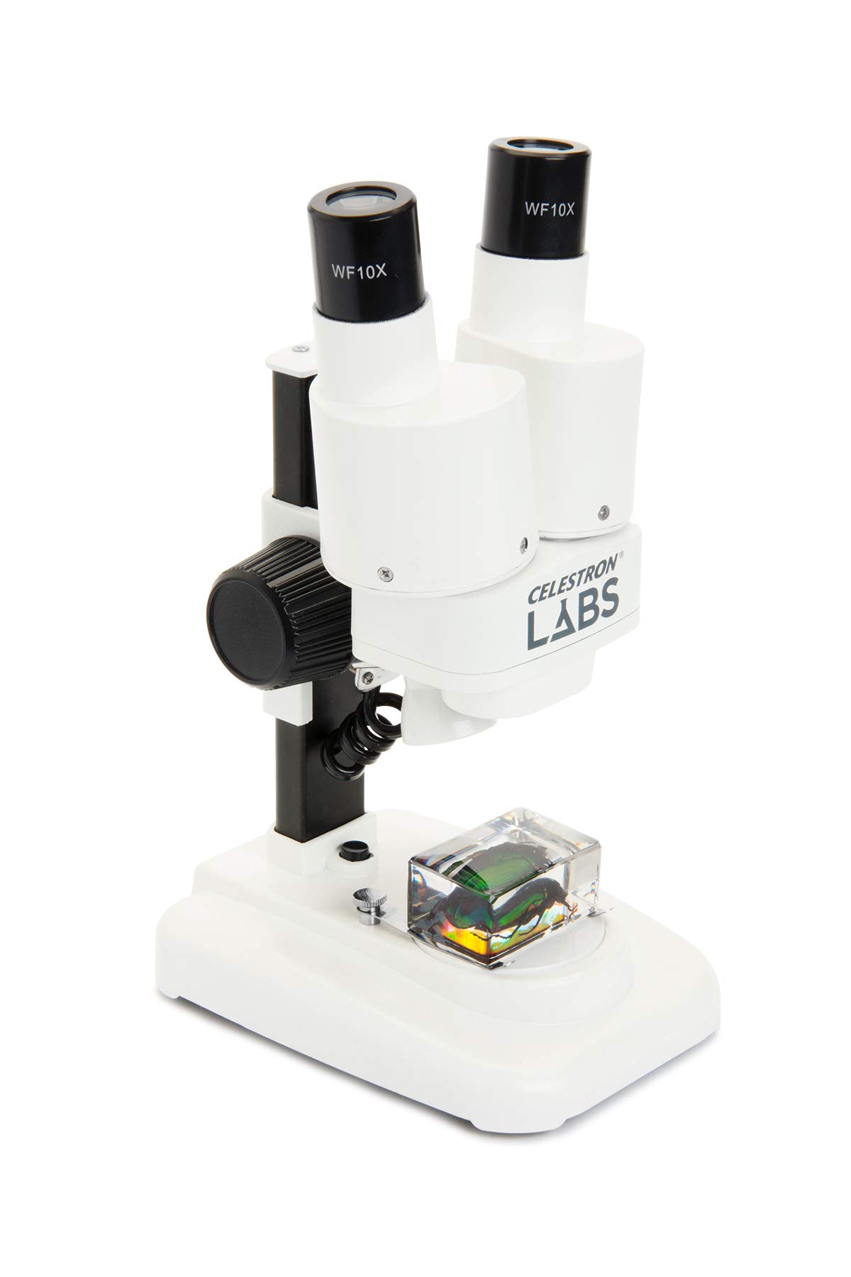 Celestron 44207 Labs CL-S20 Microscopio stereo