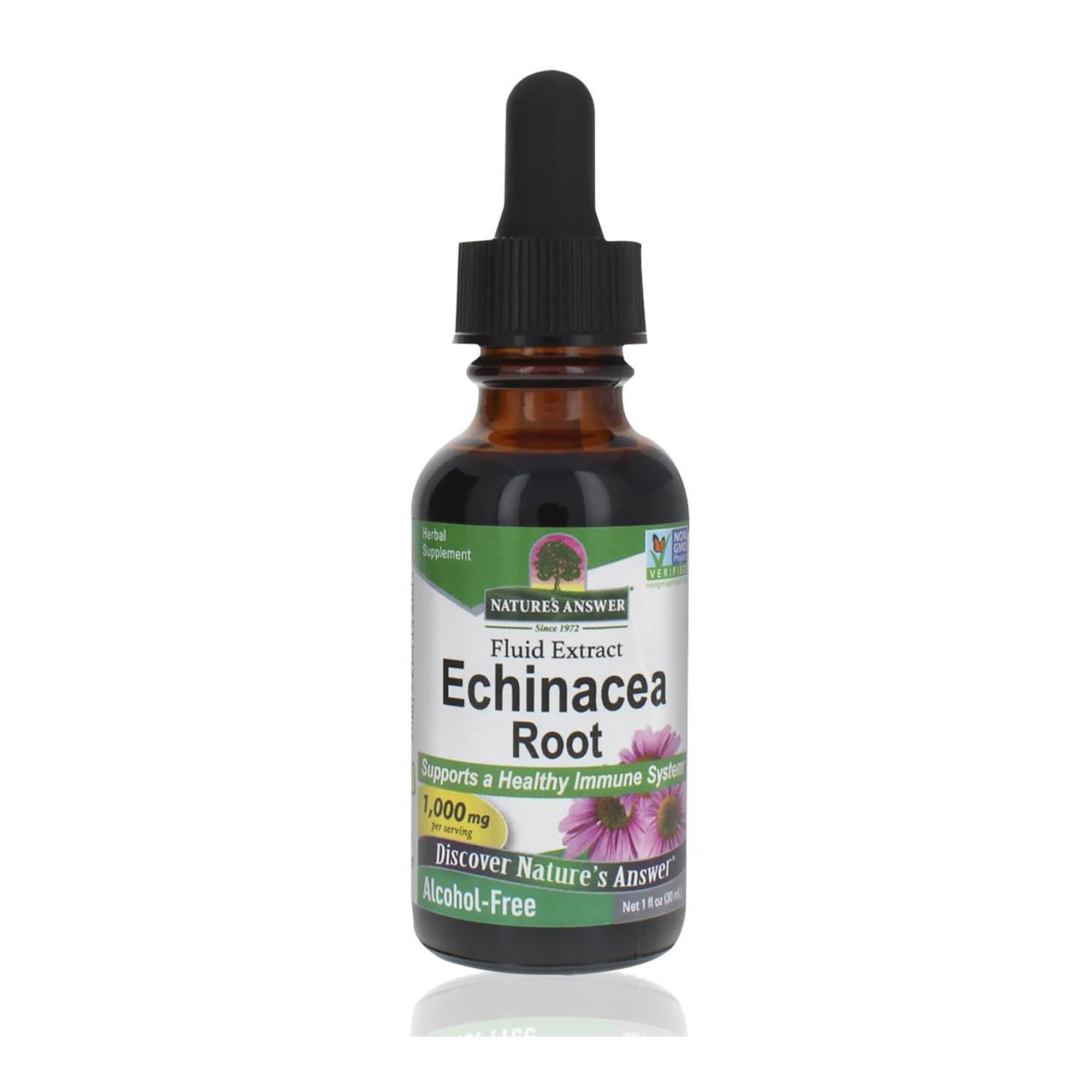 Natures Answer Echinacea 1 fl oz