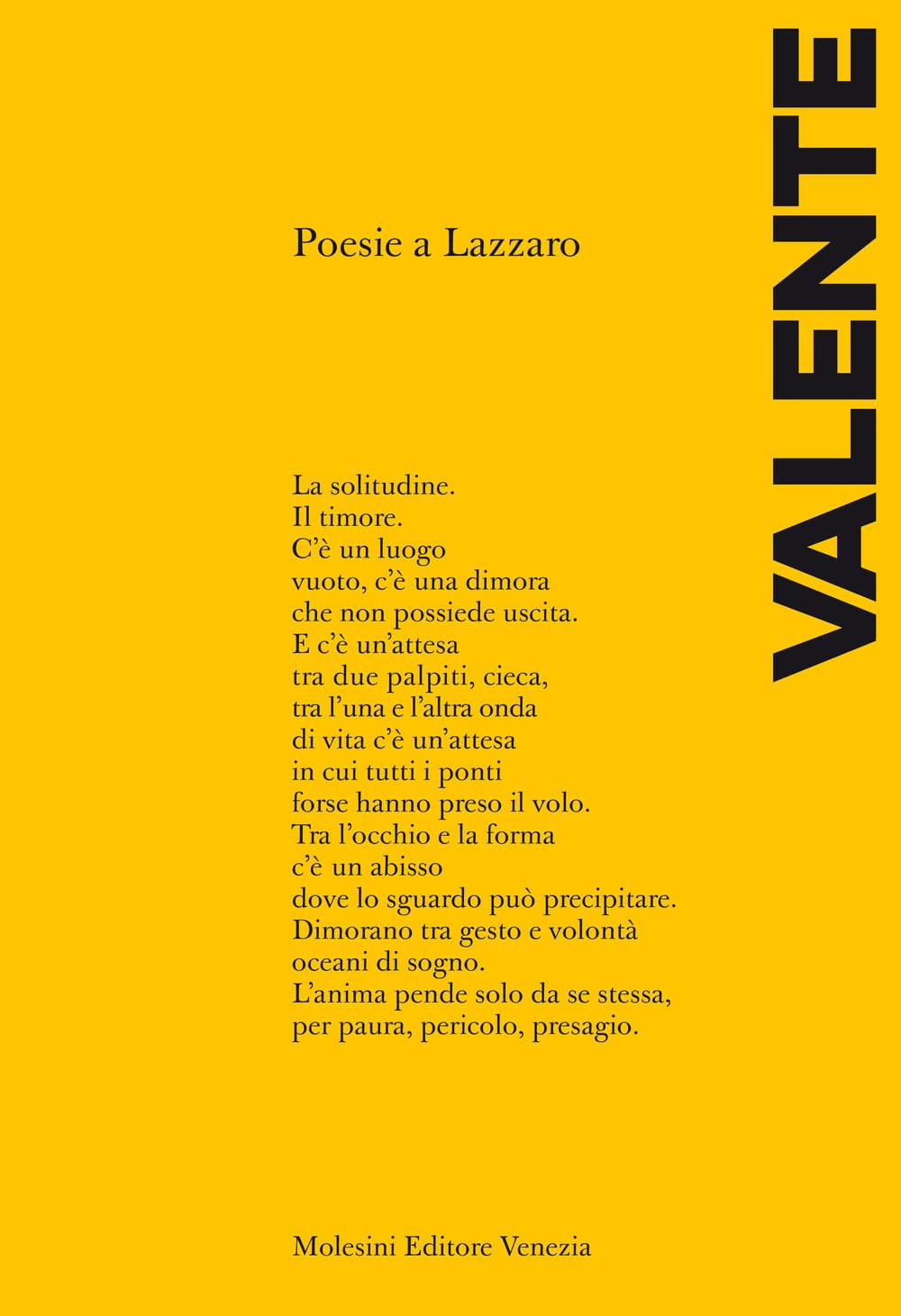 Poesie A Lazzaro - 4