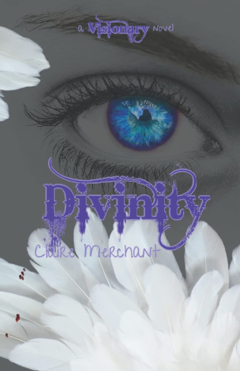 Divinity (Visionary Series)
