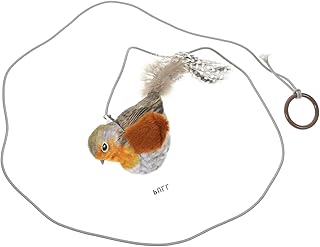 MUSISALY Brinquedos Brinquedo Acessório Para Gatos Brinquedo Para Gatos Pequenos Acessórios Para Pássaros Gatinhos Brinquedo Para Provocações De Gatos Pequenos Brinquedo Para Gatinhos