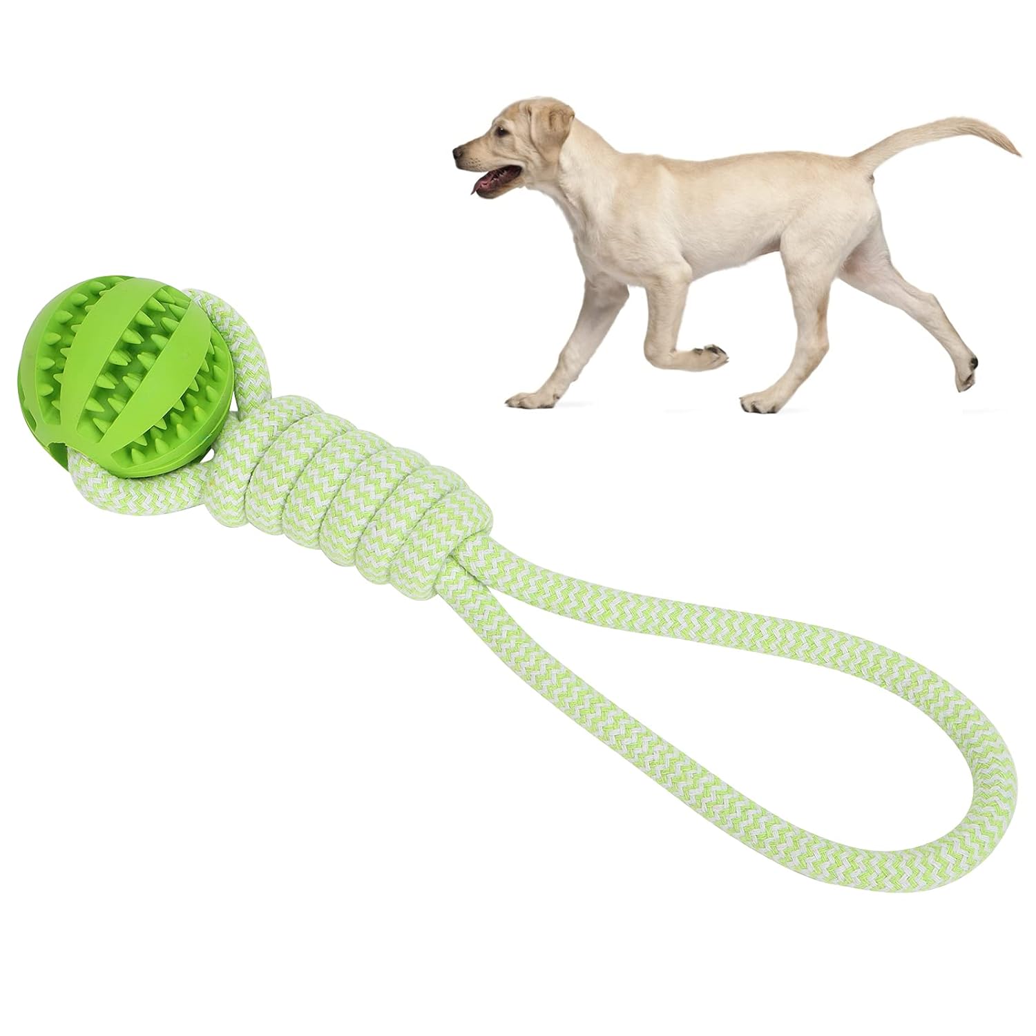 How Do You Clean A Dog Bite