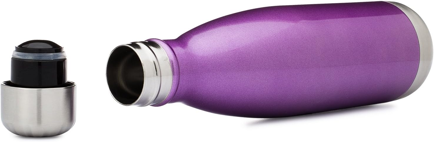 Simple Modern Stainless Steel Vacuum Insulated Double-Walled Wave Bottle, 25oz - Amethyst Purple - Shimmering Collection