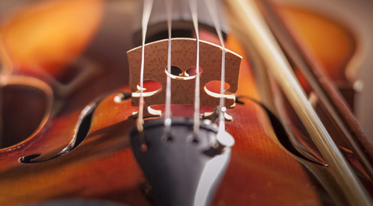 Blue Panther Violin Strings – Full Steel Core Set for 4/4, 3/4, 1/2, 1/4 Violins - Image 2 thumbnail