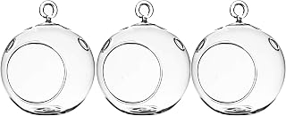 WGV Hanging Terrarium Globe, DIY Air Succulent Planter, Clear Glass, 3x4"