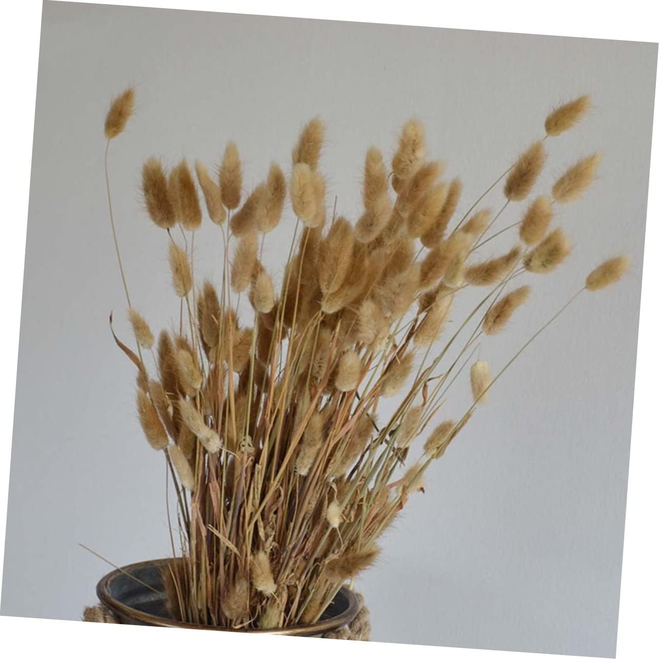 50pcs Dried Grass Rabbit Tail Bunny Decor Natural Rabbit Tail Flowers for Home Wedding Party Office Photo Props Pastoral