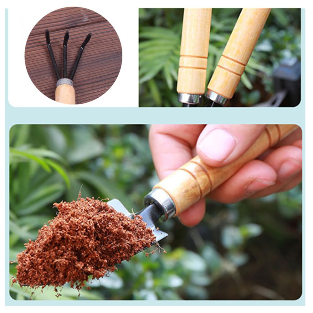 Set 3 Attrezzi Da Giardinaggio Mini - Pala E Rastrello Per Piante | Utensili Piccoli Per Semina E Coltivazione - Foto 4