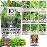 Leafy Greens Seeds | 10 Individual Packs | 2026 Season | Non-GMO | Lettuce, Kale, Spinach, Arugula &...