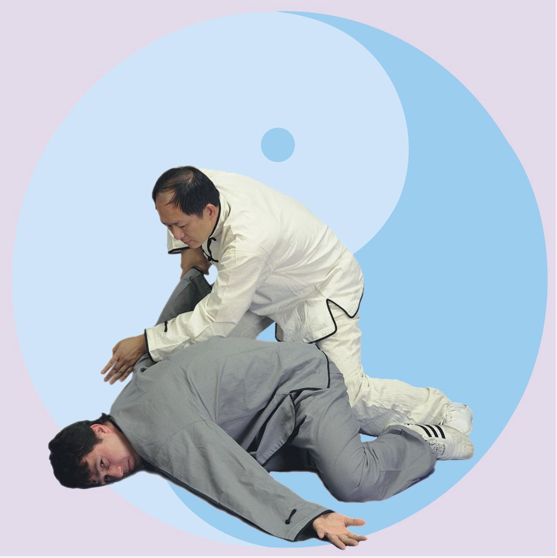 Chin Na In Depth Complete Collection 4-DVD (YMAA Chin Na Joint Locks) Dr. Yang, Jwing-Ming **Chinese Kung Fu Bestseller**