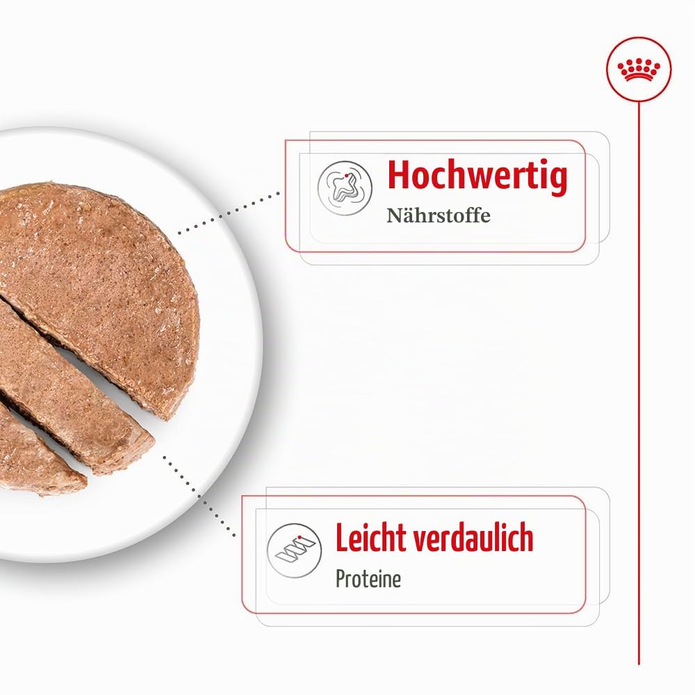 Royal Canin Maxi Adult | 12 x 410 g | Alleinfuttermittel für ausgewachsene große Hunde (26-44 kg) | Nährstoffreiche und ausgewogene Feuchtnahrung mit hochverdaulichen Proteinen