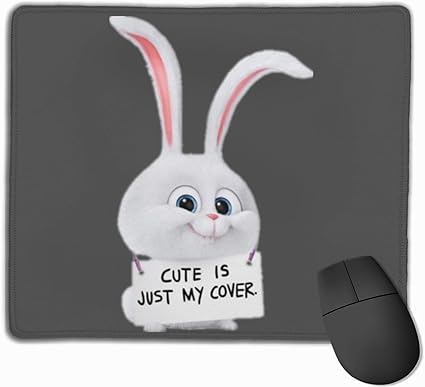 Amazon スノーボールペットの秘密の生活 マウスパッド 25 30 大判 ノンスリップ 防水 ゲーミング おしゃれ マウスの精密度を上がる Zaea マウスパッド 通販